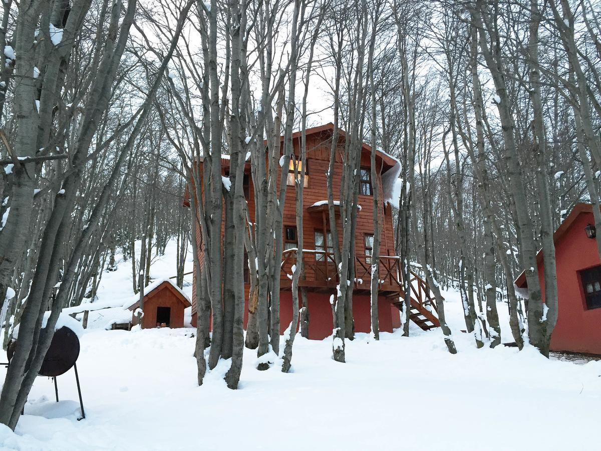 Cabanas Bosque Del Faldeo Ushuaia Exterior foto